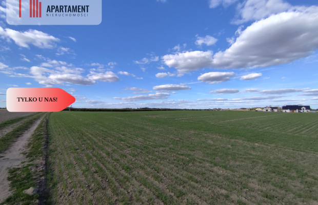 Działki budowlane w Wiśniewie w okolicy Sępólna!