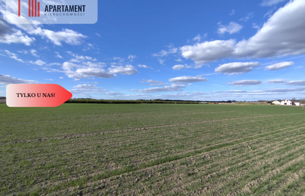 Działki budowlane w Wiśniewie w okolicy Sępólna!