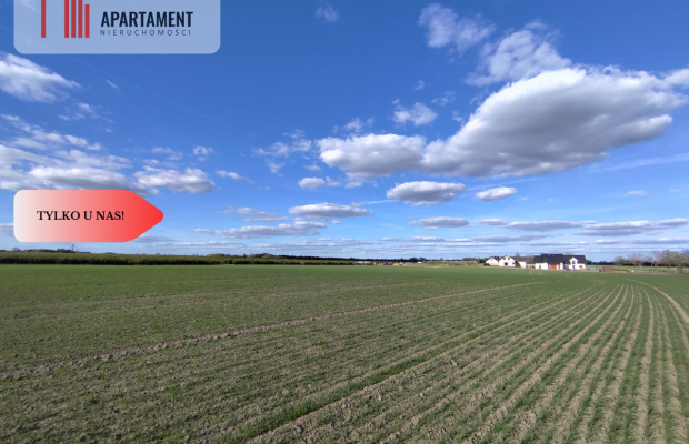 Działki budowlane w Wiśniewie w okolicy Sępólna!