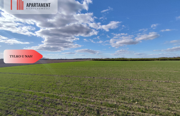 Działki budowlane w Wiśniewie w okolicy Sępólna!