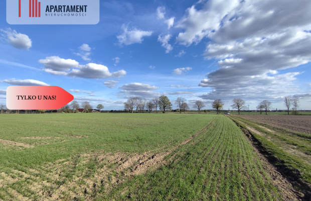 Działki budowlane w Wiśniewie w okolicy Sępólna!