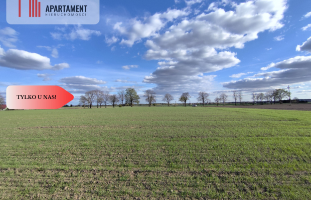 Działki budowlane w Wiśniewie w okolicy Sępólna!