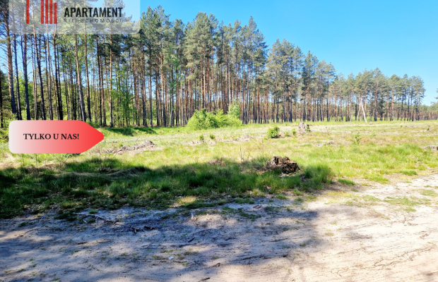 Działka budowlana otoczona lasem. Tylko u nas !!!