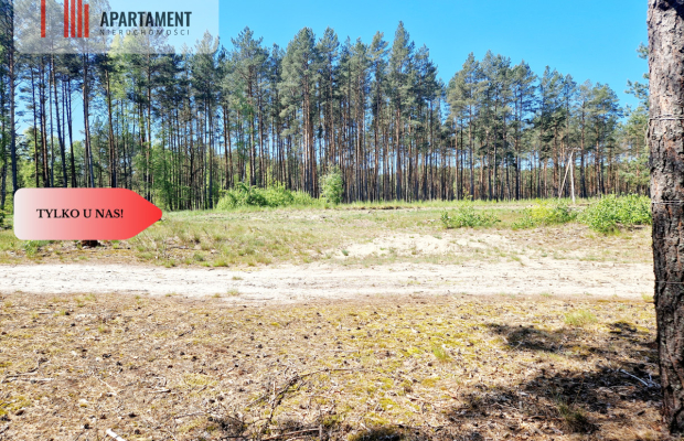 Działka budowlana otoczona lasem. Tylko u nas !!!