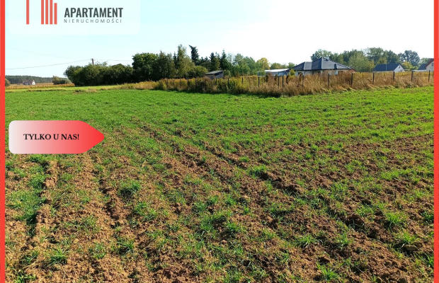 TYLKO U NAS - TOPORZYSKO 1557 CISZA SPOKÓJ