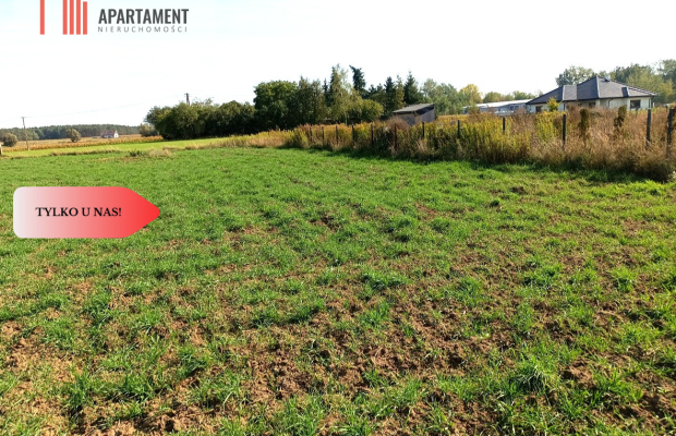 TYLKO U NAS - TOPORZYSKO 1557 CISZA SPOKÓJ