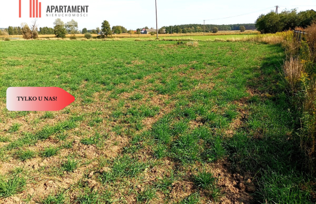 TYLKO U NAS - TOPORZYSKO 1557 CISZA SPOKÓJ