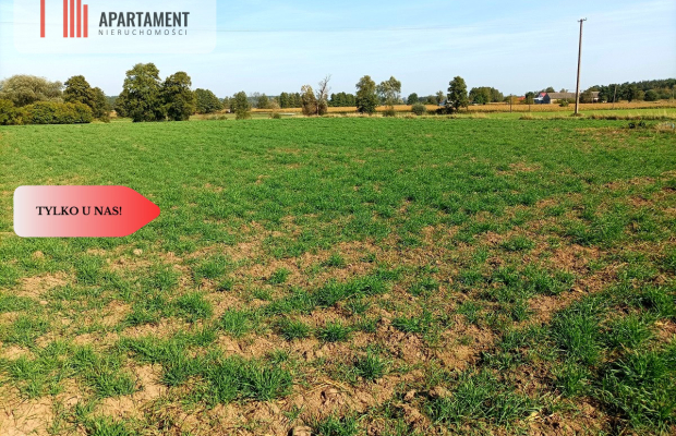 TYLKO U NAS - TOPORZYSKO 1557 CISZA SPOKÓJ