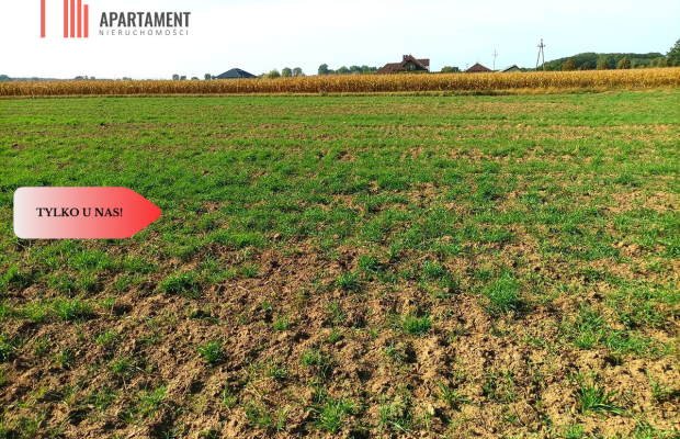 TYLKO U NAS - TOPORZYSKO 1557 CISZA SPOKÓJ