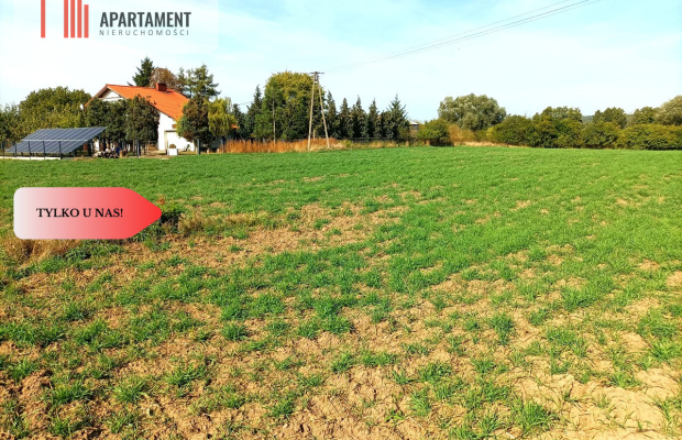 TYLKO U NAS - TOPORZYSKO 1557 CISZA SPOKÓJ