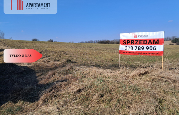 Działki z WZ - Zielonczyn