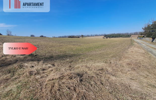 Działki z WZ - Zielonczyn