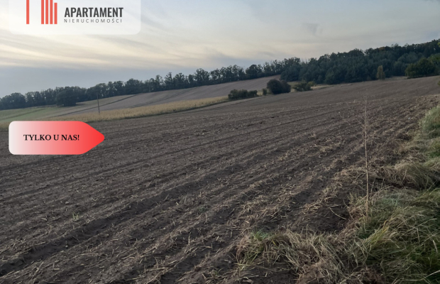 Działki z WZ - Zielonczyn