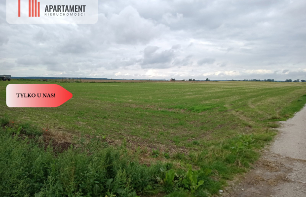 Działki z WZ - Zielonczyn