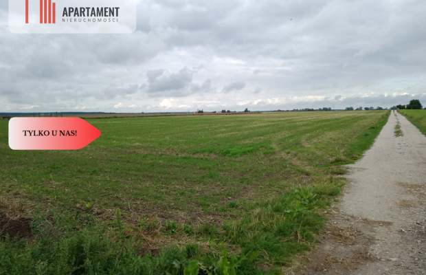 Działki z WZ - Zielonczyn