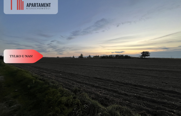 Działki z WZ - Zielonczyn