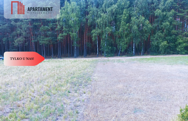 TYLKO U NAS !!! PIĘKNA OTULONA LASEM I C!SZĄ!