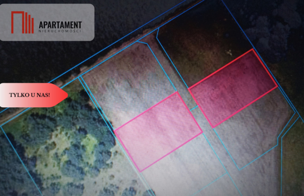 TYLKO U NAS !!! PIĘKNA OTULONA LASEM I C!SZĄ!