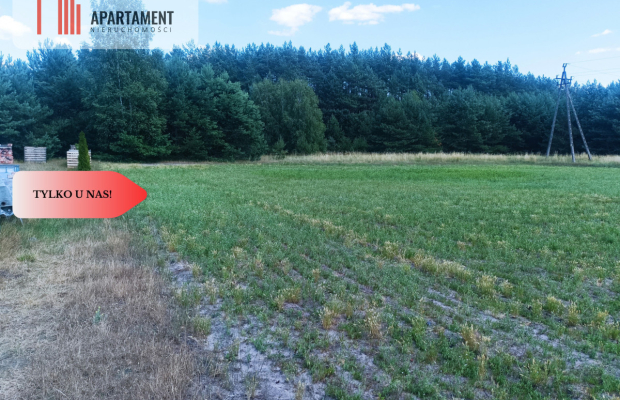 TYLKO U NAS !!! PIĘKNA OTULONA LASEM I C!SZĄ!