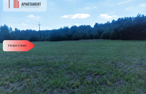 TYLKO U NAS !!! PIĘKNA OTULONA LASEM I C!SZĄ!