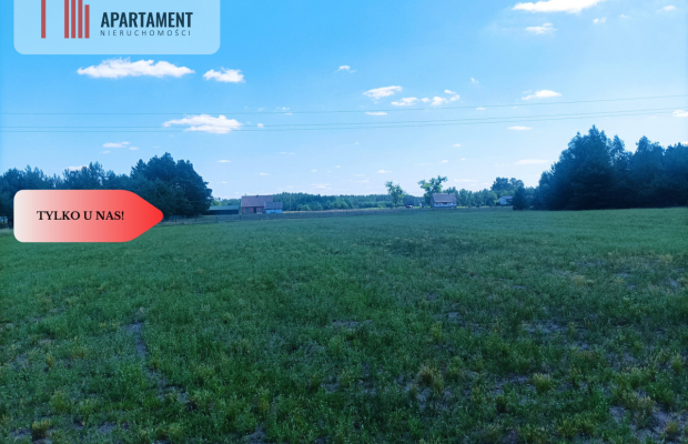 TYLKO U NAS !!! PIĘKNA OTULONA LASEM I C!SZĄ!