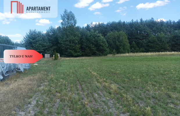 TYLKO U NAS !!! PIĘKNA OTULONA LASEM I C!SZĄ!