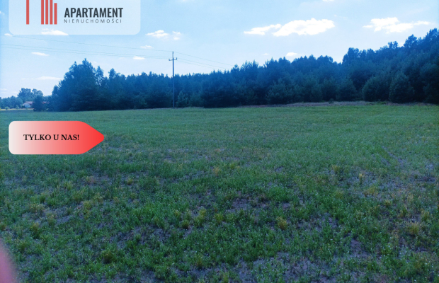 TYLKO U NAS !!! PIĘKNA OTULONA LASEM I C!SZĄ!