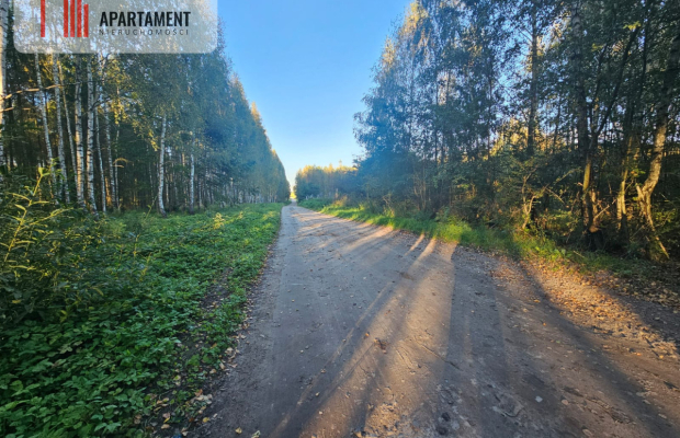 malownicza działka w Chełmżycy k. Iławy – 49 arów