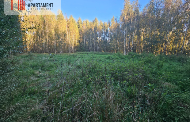 malownicza działka w Chełmżycy k. Iławy – 49 arów