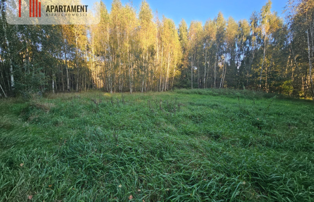 malownicza działka w Chełmżycy k. Iławy – 49 arów