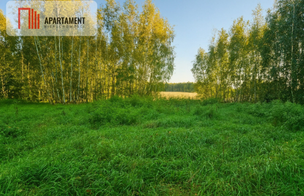 malownicza działka w Chełmżycy k. Iławy – 49 arów