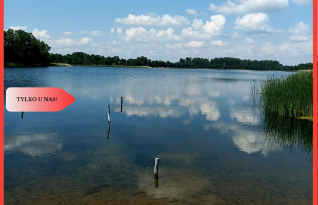 Sprzedaż praw do 2 działek ROD Łobżenica.