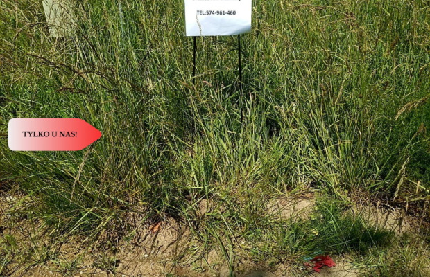 Sprzedaż praw do 2 działek ROD Łobżenica.