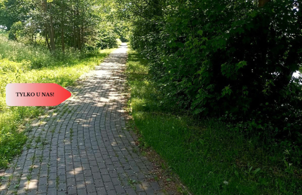 Sprzedaż praw do 2 działek ROD Łobżenica.