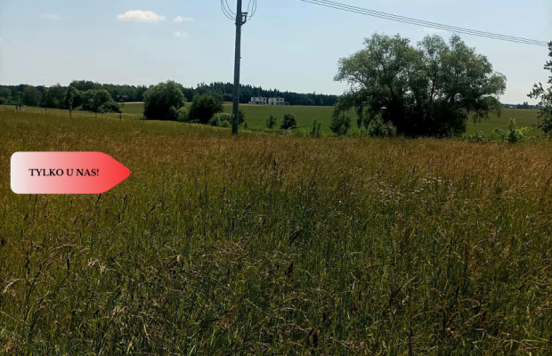 Sprzedaż praw do 2 działek ROD Łobżenica.