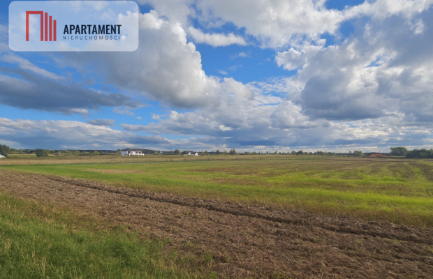 Wyjątkowe działki Kamień Mały k. Iławy.
