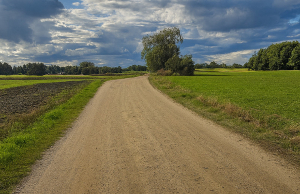 Wyjątkowe działki Kamień Mały k. Iławy.