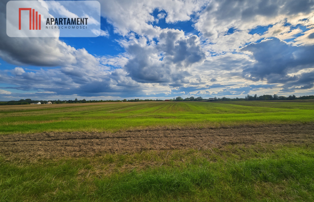 Wyjątkowe działki Kamień Mały k. Iławy.