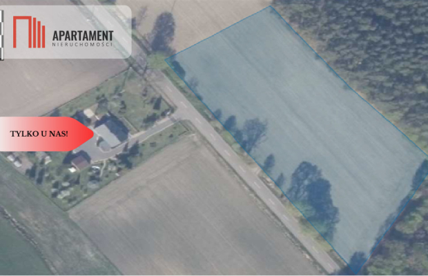 Działka budowlana  8700m2 WDA