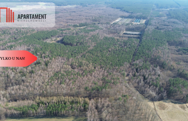 Działka budowlana  8700m2 WDA