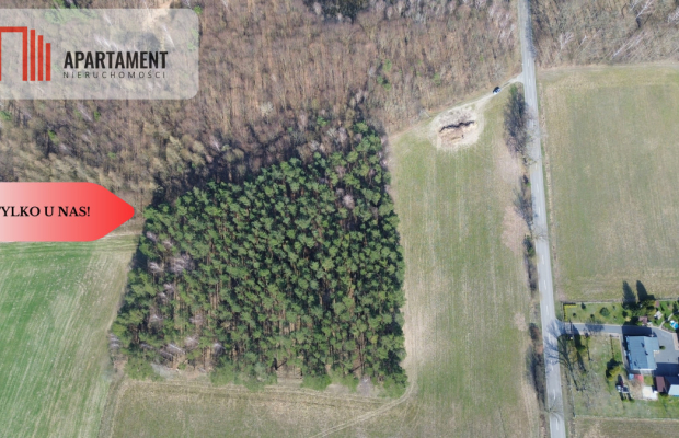 Działka budowlana  8700m2 WDA