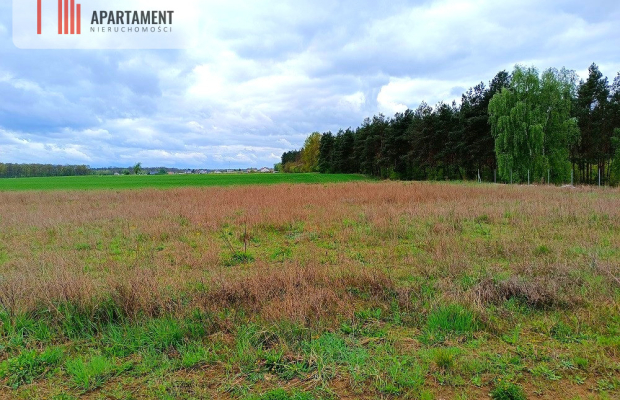 MORZEWIEC 1022m CISZA SPOKÓJ ŚCIANA LASU