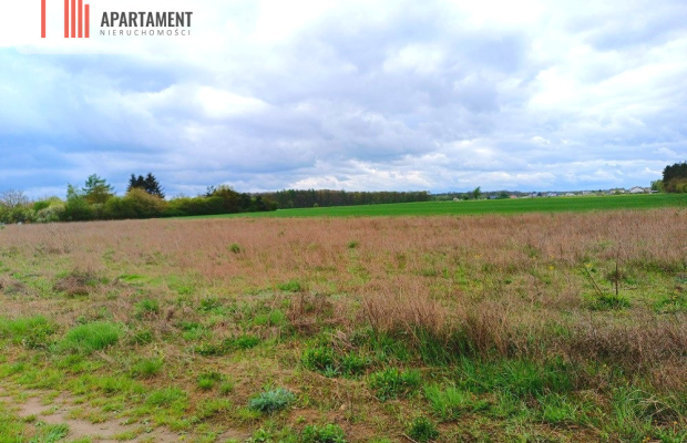 MORZEWIEC 1022m CISZA SPOKÓJ ŚCIANA LASU