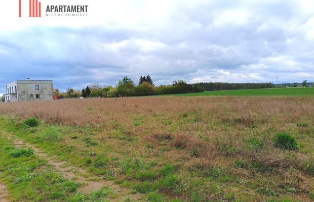 MORZEWIEC 1022m CISZA SPOKÓJ ŚCIANA LASU