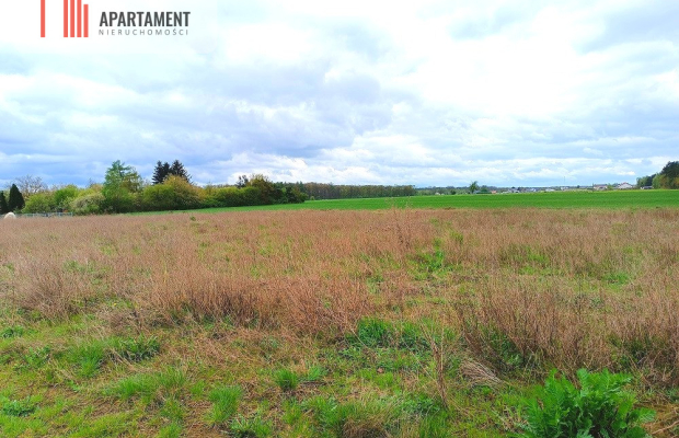 MORZEWIEC 1022m CISZA SPOKÓJ ŚCIANA LASU