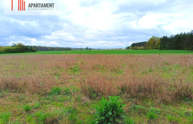 MORZEWIEC 1022m CISZA SPOKÓJ ŚCIANA LASU