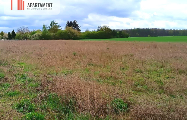 MORZEWIEC 1022m CISZA SPOKÓJ ŚCIANA LASU