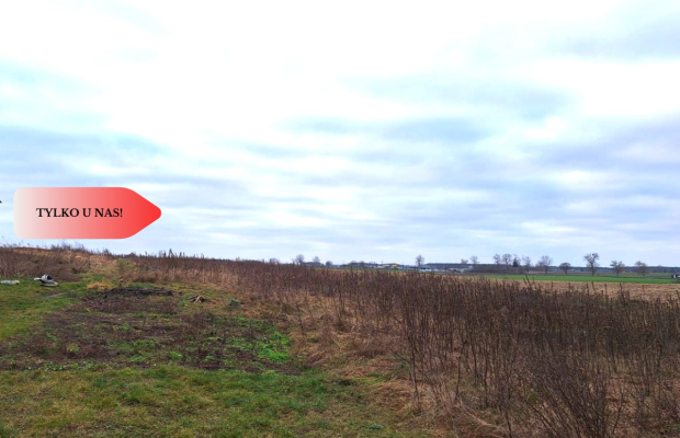 Działka budowlana 3200m2  z WZ Ojrzanowo