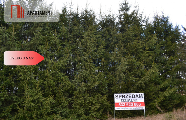 Tylko u nas!!Działki w górach z warunkami zabudowy