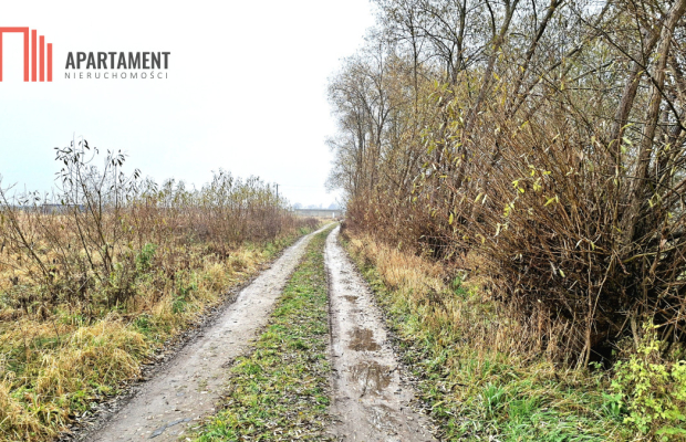 Olimpin–duża działka 1217m², media w drodze, MPZP